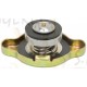 TAPON RADIADOR