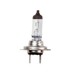 LAMPARA H7 12V 55W